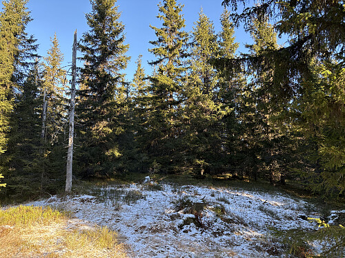 Toppunktet ligger inne i tettskogen her