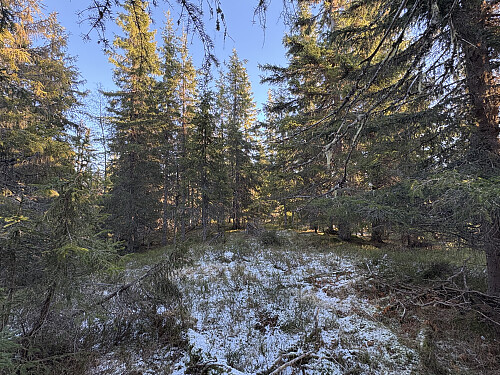 Høgda i Nordre Land