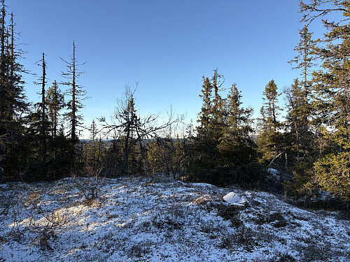 Røyskatthovde i Nordre Land
