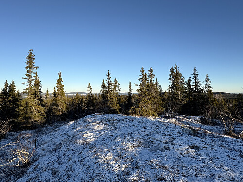 Kollen nord for Røyskatthovde var litt mer åpen