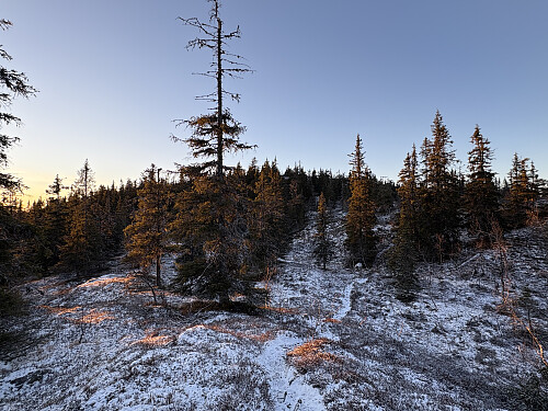Tilbakeblikk mot Turrtind fra stien over til SØ-toppen