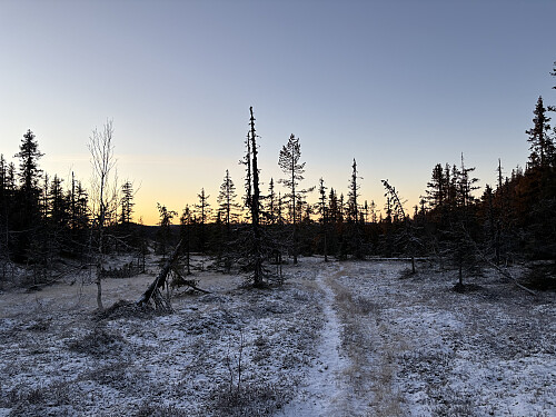 På vei ned mot Øyangssætra