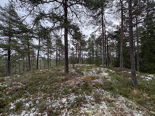 Svarttjennhøgda i Aurskog-Høland