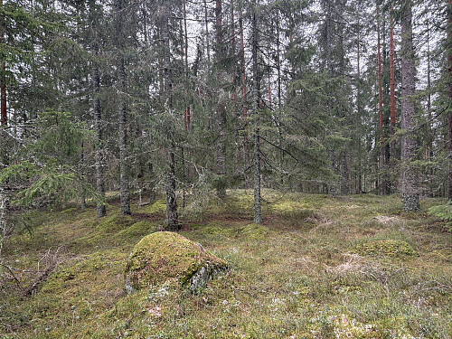 Tjuvdalshøgda har et stort og flatt topplatå.