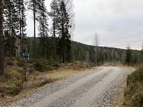 Langs veien fra Losby med Geiterudfjellet bak til venstre