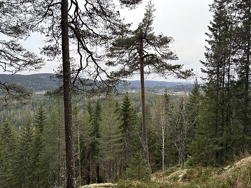 Bratt stigning opp mot Geiterudfjellet