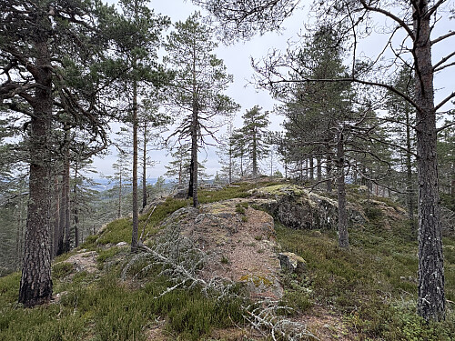 Geiterudfjellet