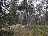 ØyvindBergkvam_20260301_69a4546101a38.jpg