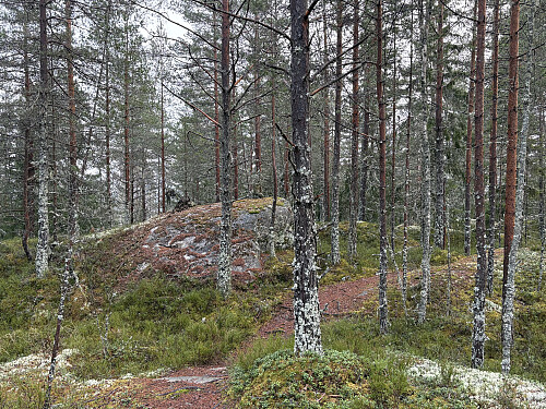 Toppunktet på Vanakleiv