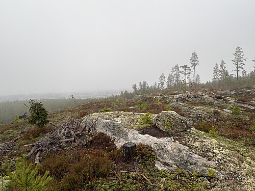 Gullsmedåsen 262 moh