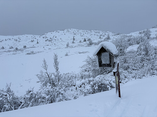 Her har jeg akkurat tatt av fra de oppkjørte skiløypene. Målet ses bak i midten av bildet