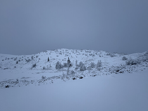 Vest for Kattuglekampen