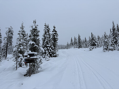Ikke nyoppkjørte spor, men helt topp med fjellski på beina.