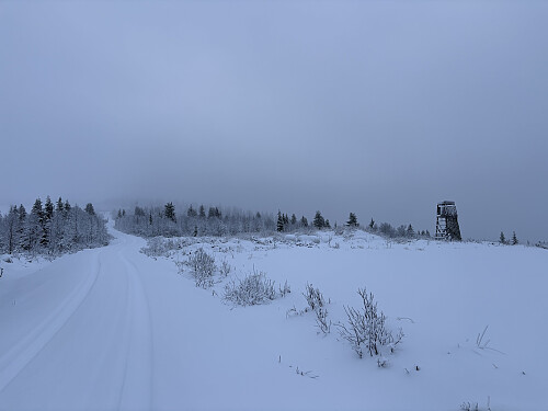 Jakttårnet nedenfor toppen