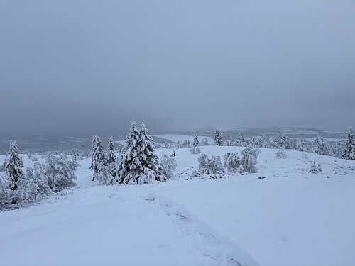 Utsikt tilbake mot Kvarvet omtrent halvveis opp mot Veslfjell