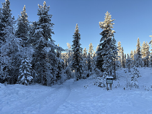Ved p-plassen litt lenger inn enn der hvor jeg parkerte.