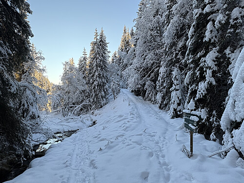 Her tok jeg opp til høyre...