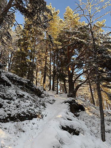 God sti som fører bratt opp sørryggen