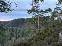 ØyvindBergkvam_20260305_69a93afb26a04.jpg
