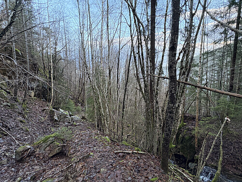 Kronglete sti opp mot Vasslausfjellet