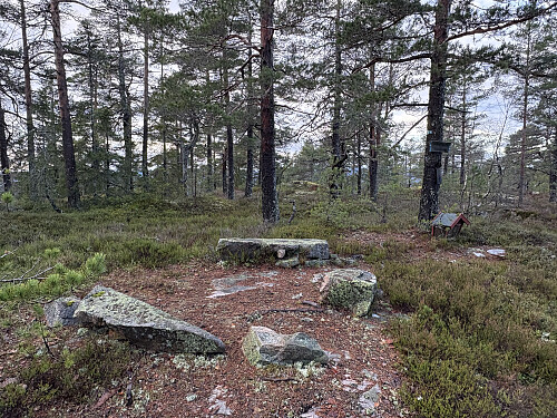 Vasslausfjellet 418 moh i Nome