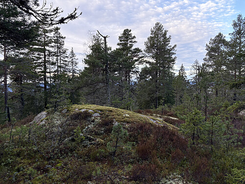 Trolig det høyeste toppunktet på Vasslausfjellet
