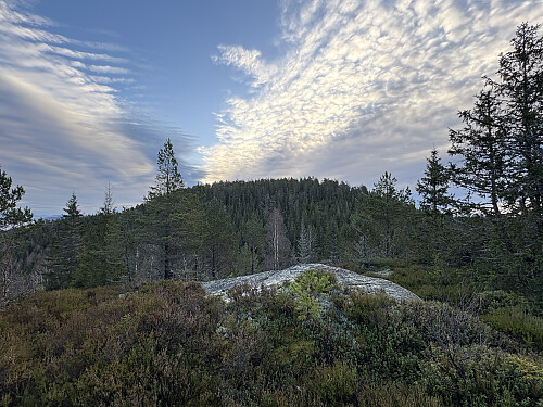 Tilbake mot Vasslausfjellet fra NV-toppen