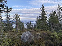 ØyvindBergkvam_20260305_69a93afdaadb6.jpg