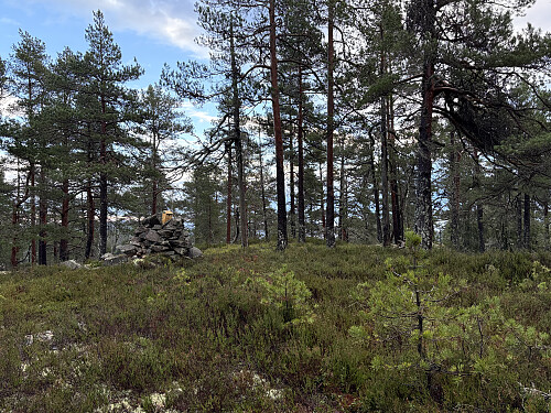 Kittilskollen i Skien