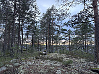 ØyvindBergkvam_20260305_69a9b53198682.jpg