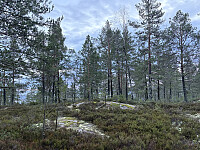 ØyvindBergkvam_20260305_69a9b532ecf09.jpg