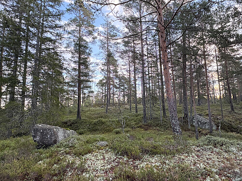 Siste stigningen opp mot Stålfjellet