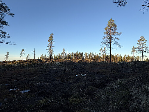På vei mot Askhøgda