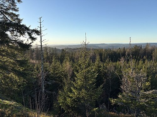 Vid utsikt litt nord for toppen av Vardåsen