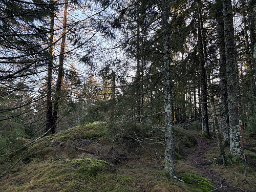 Toppkollen på Vardåsen i Enebakk