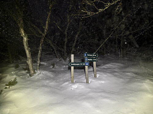 Stikryss like nedenfor Jørundstadhammeren hvor varden og trigpunktet står.