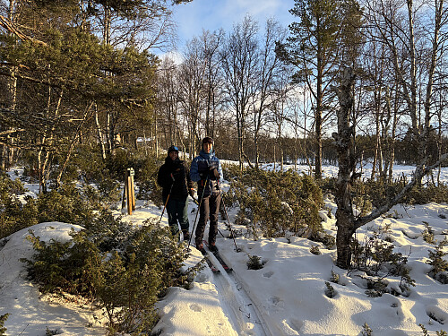 Ved Fugleskjellsetra