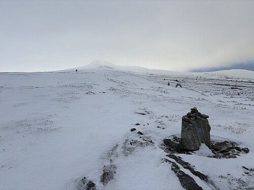 Ryggen opp mot Formokampen