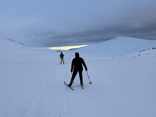 Turfølget mitt snudde i løypeskaret mellom Haukberget og Baksidevassberget