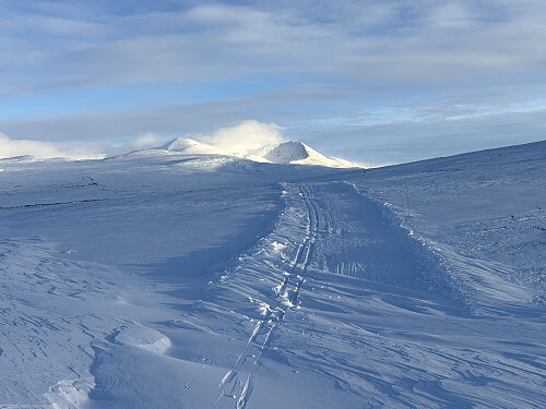 Smiubelgin i Rondane kommer til syne når jeg entrer Merrasletta