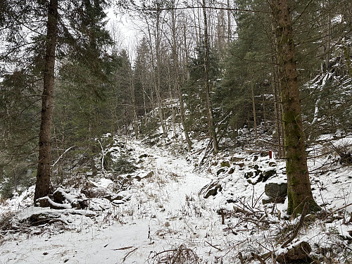 Merket sti opp til Trollfjell
