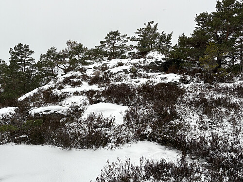Trollfjell i Risør