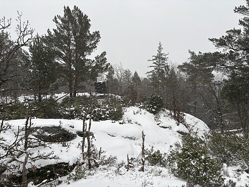 Bjørnåstårnet 196 moh