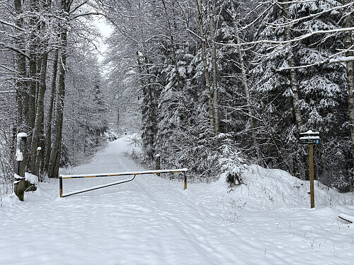 Fra idrettsplassen går det en skogsvei innover som jeg fulgte et stykke