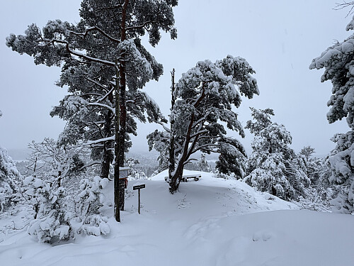 Utsiktspunktet på Rossheia