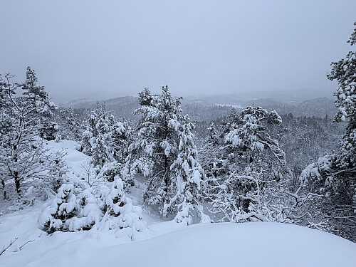 Utsikt sørover fra utsiktspunktet på Rossheia