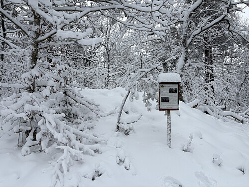 Gravrøys på Rossheia
