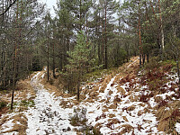 Nord for Øvre Breivikstemmen. Her tok jeg til høyre og fulgte god sti helt opp til skaret mellom Eikelifjellet og Hagaknuten