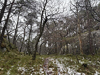 Snøbyge i skaret mellom Eikelifjellet og Hagaknuten
