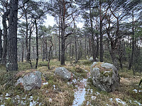 ØyvindBergkvam_20260308_69adad344f386.jpeg